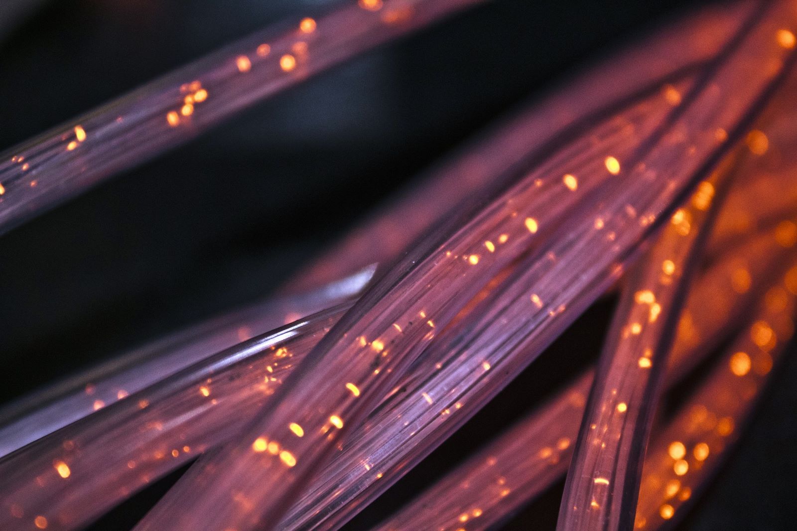 Fibers
